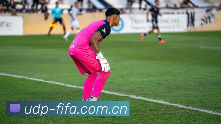 2026世界杯 多终端观赛